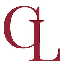 Custom Pet Embroidered Hoodie